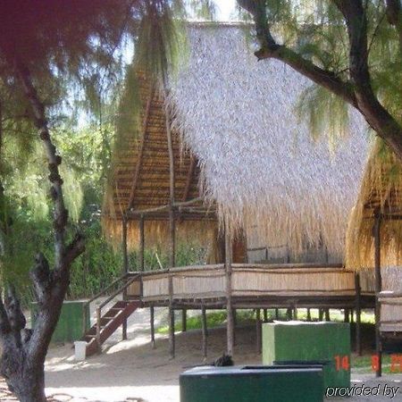 Casa Barry Beach Lodge Tofo Exterior photo